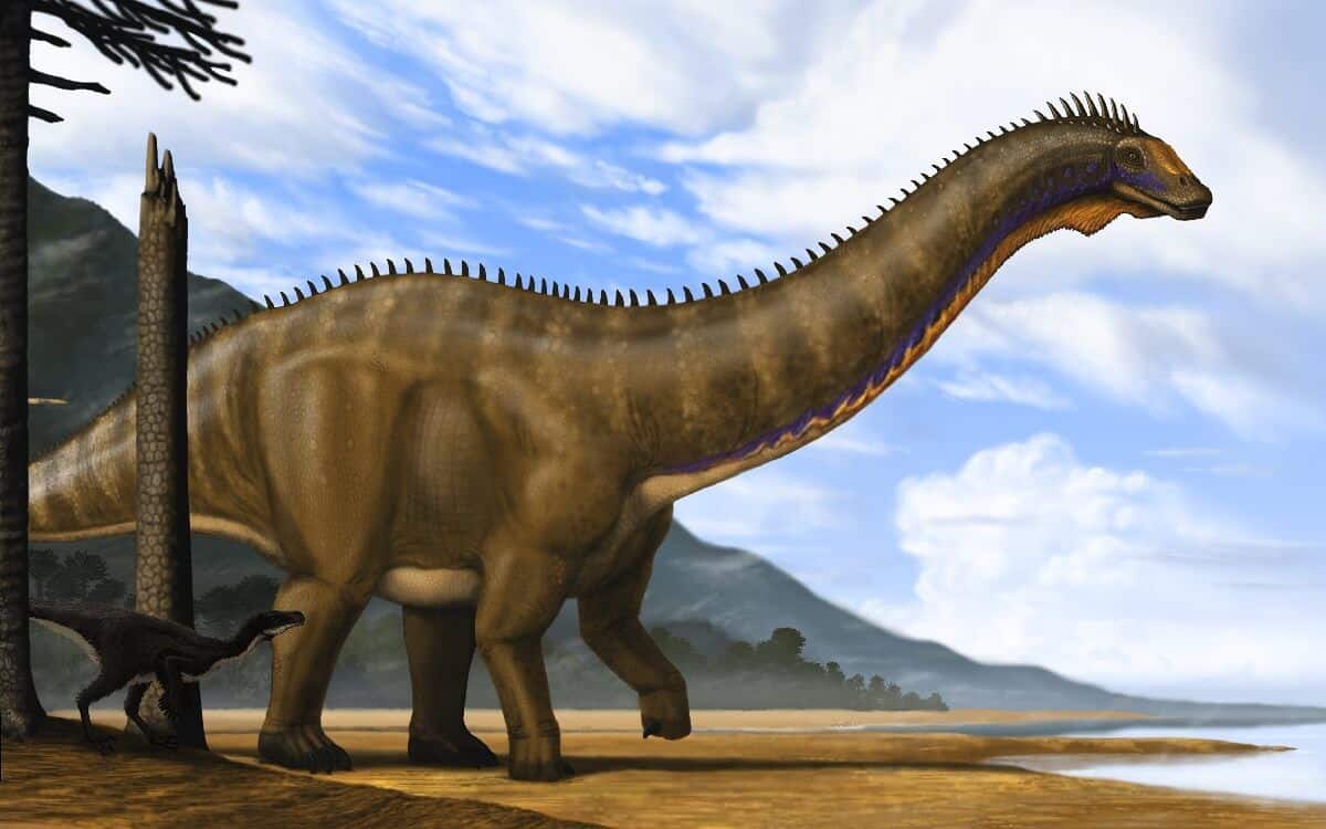 Apatosaurus Nedir