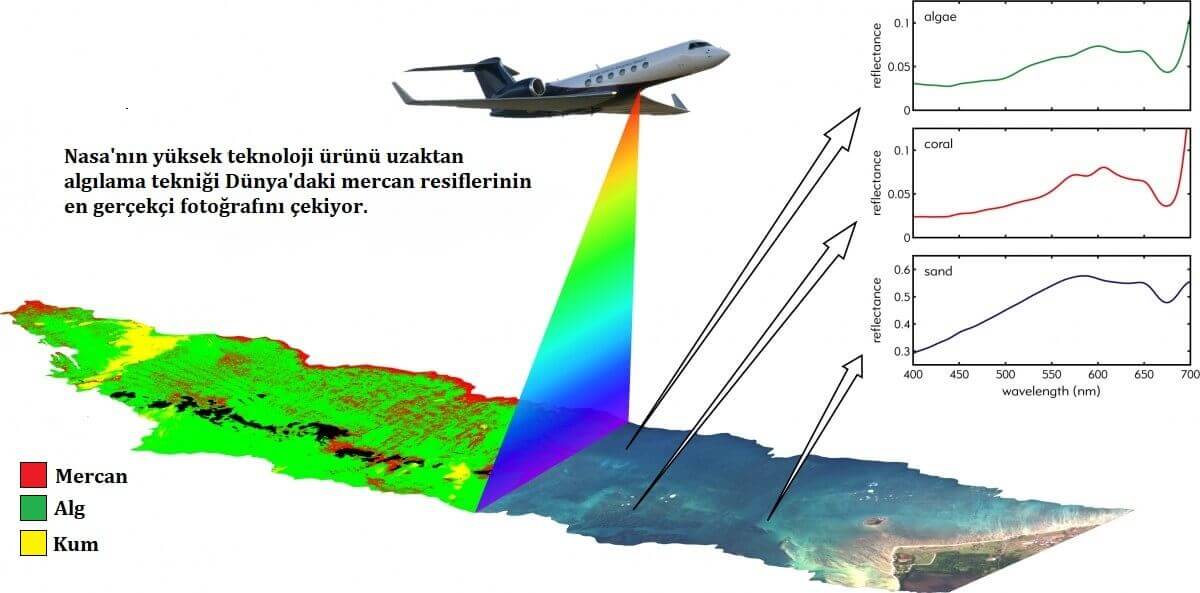 CORAL Programi Nedir