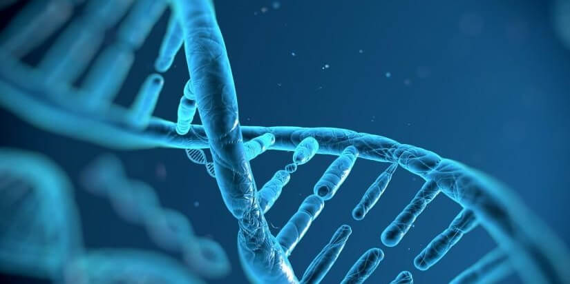 DNA Nedir