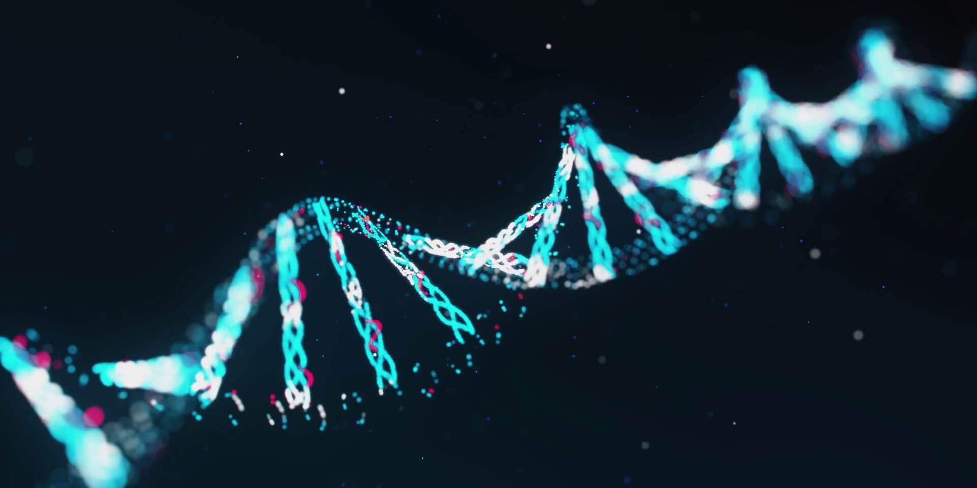 DNA