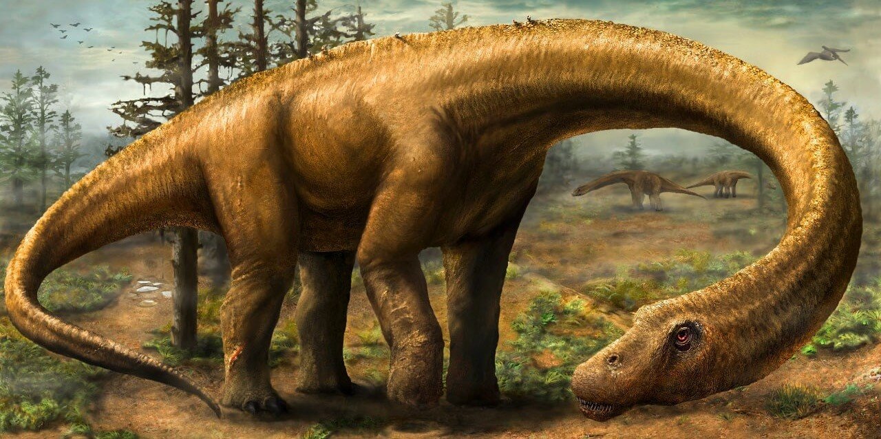 Dreadnoughtus Schrani