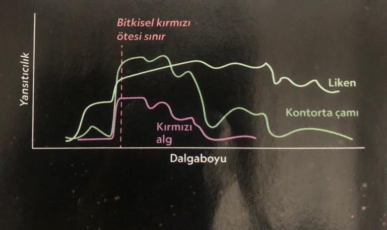 Dünya'nın kromatik yaşam belirtileri