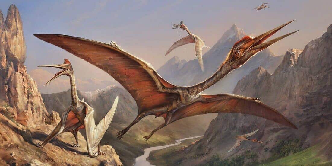 Quetzalcoatlus