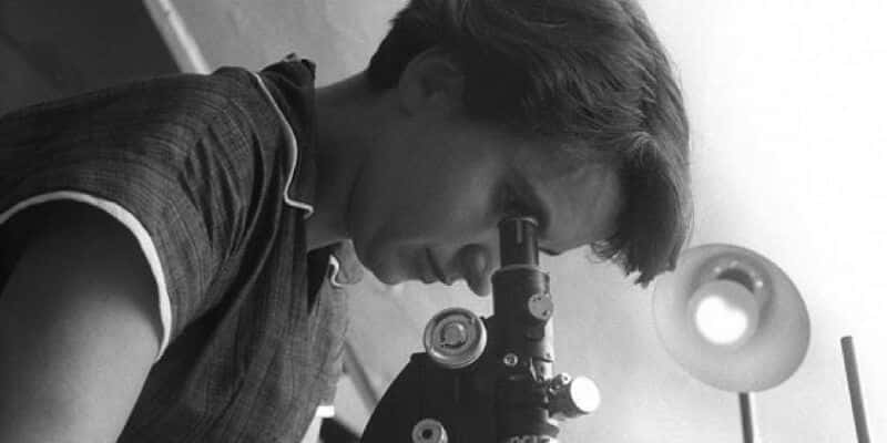 Rosalind Elsie Franklin DNA Calismalari