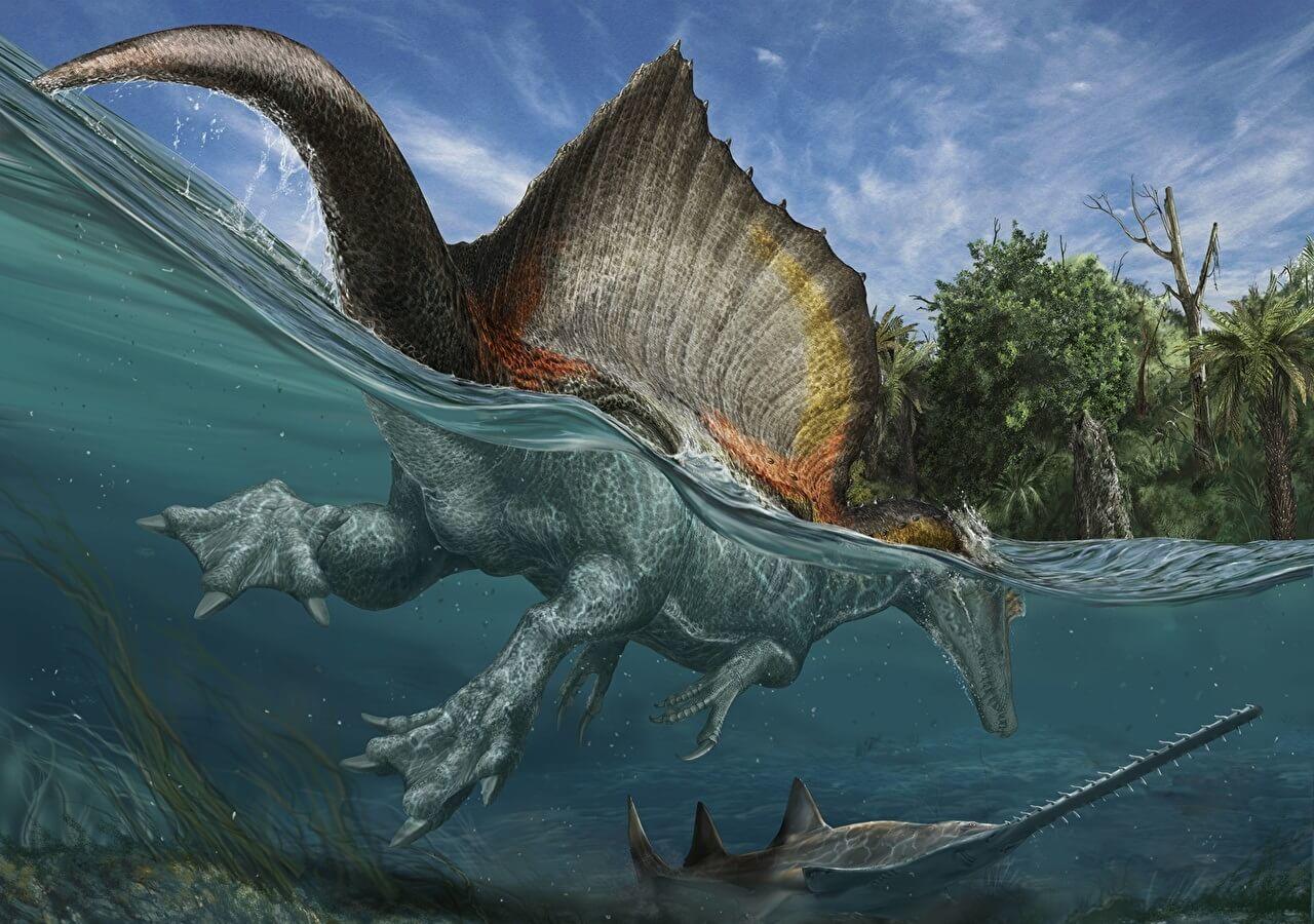 Spinosaurus Dinozor