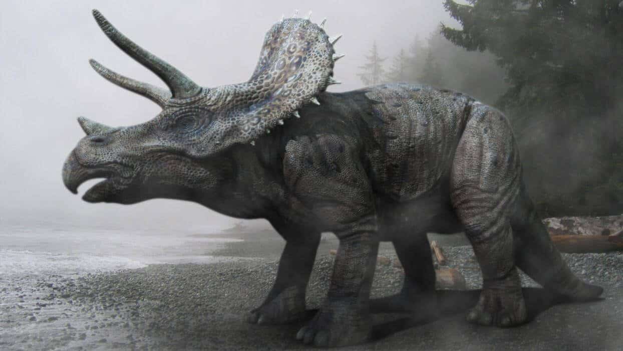 Triceratops Dinozor