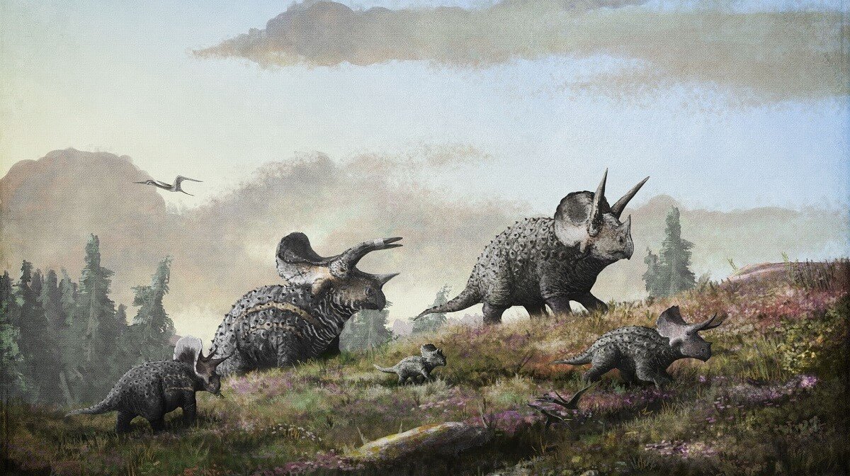 Triceratops Nedir